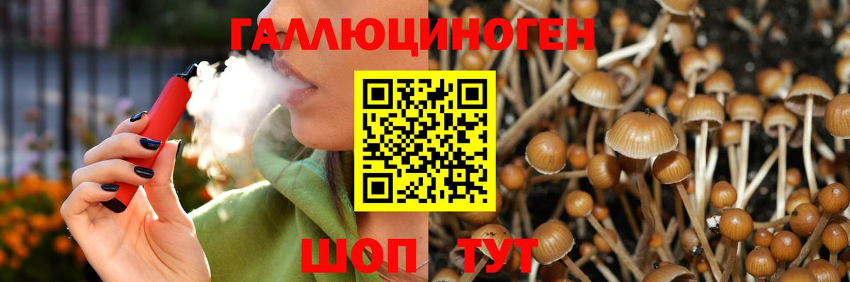 Псилоцибиновые грибы GOLDEN TEACHER  Вход с VPN  Вологда  Псилоцибиновые грибы Psilocybe 