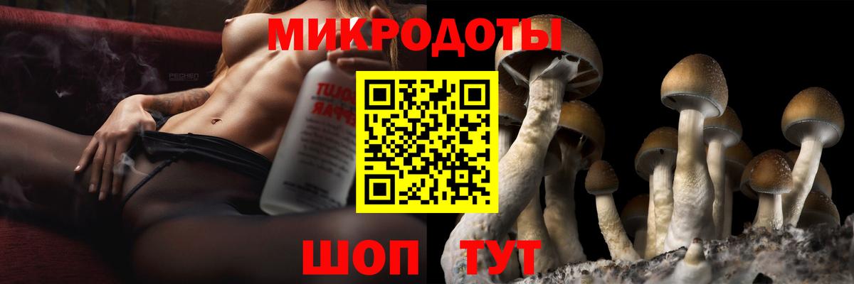 Псилоцибиновые грибы MAGIC MUSHROOMS Вологда